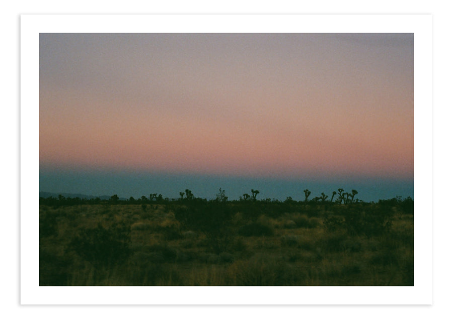 Joshua Tree Dusk