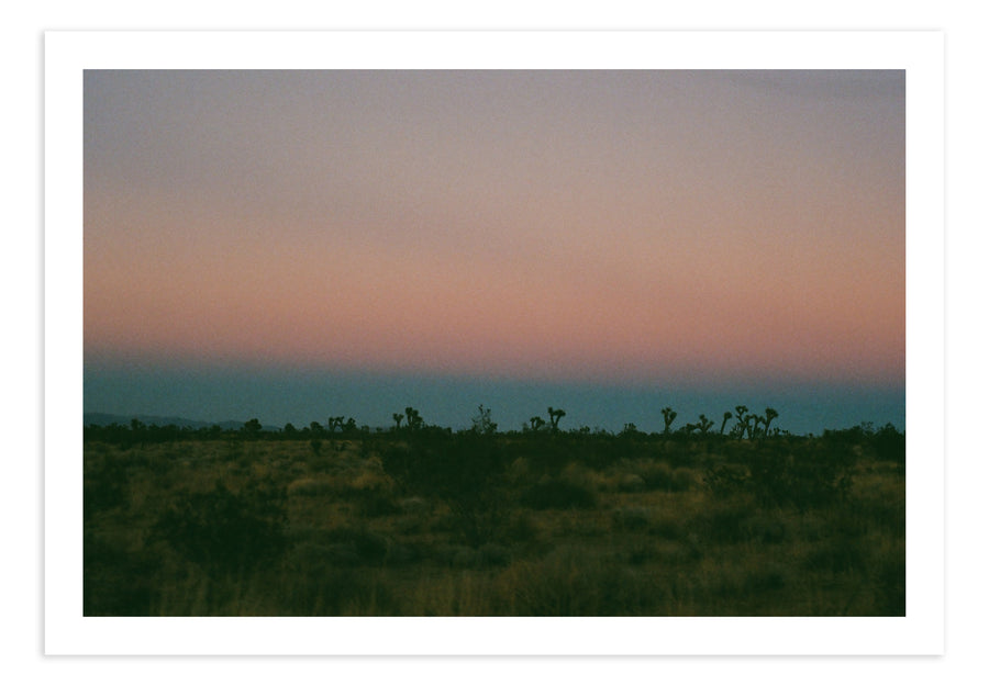 Joshua Tree Dusk