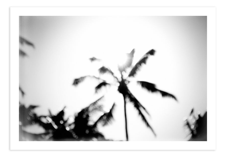 Blurry Palm